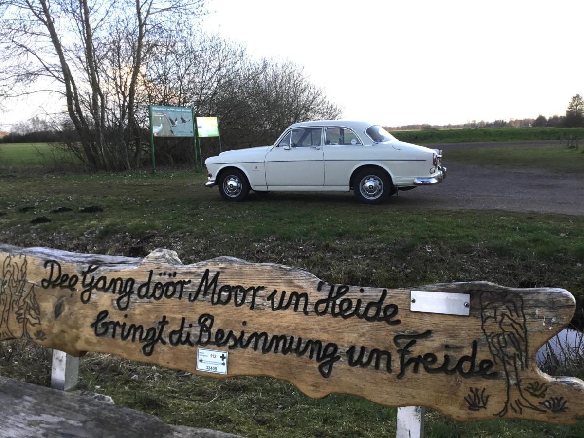 Kranich-Holzferienhaus 'Kleine Auszeit' Rehden Exterior foto